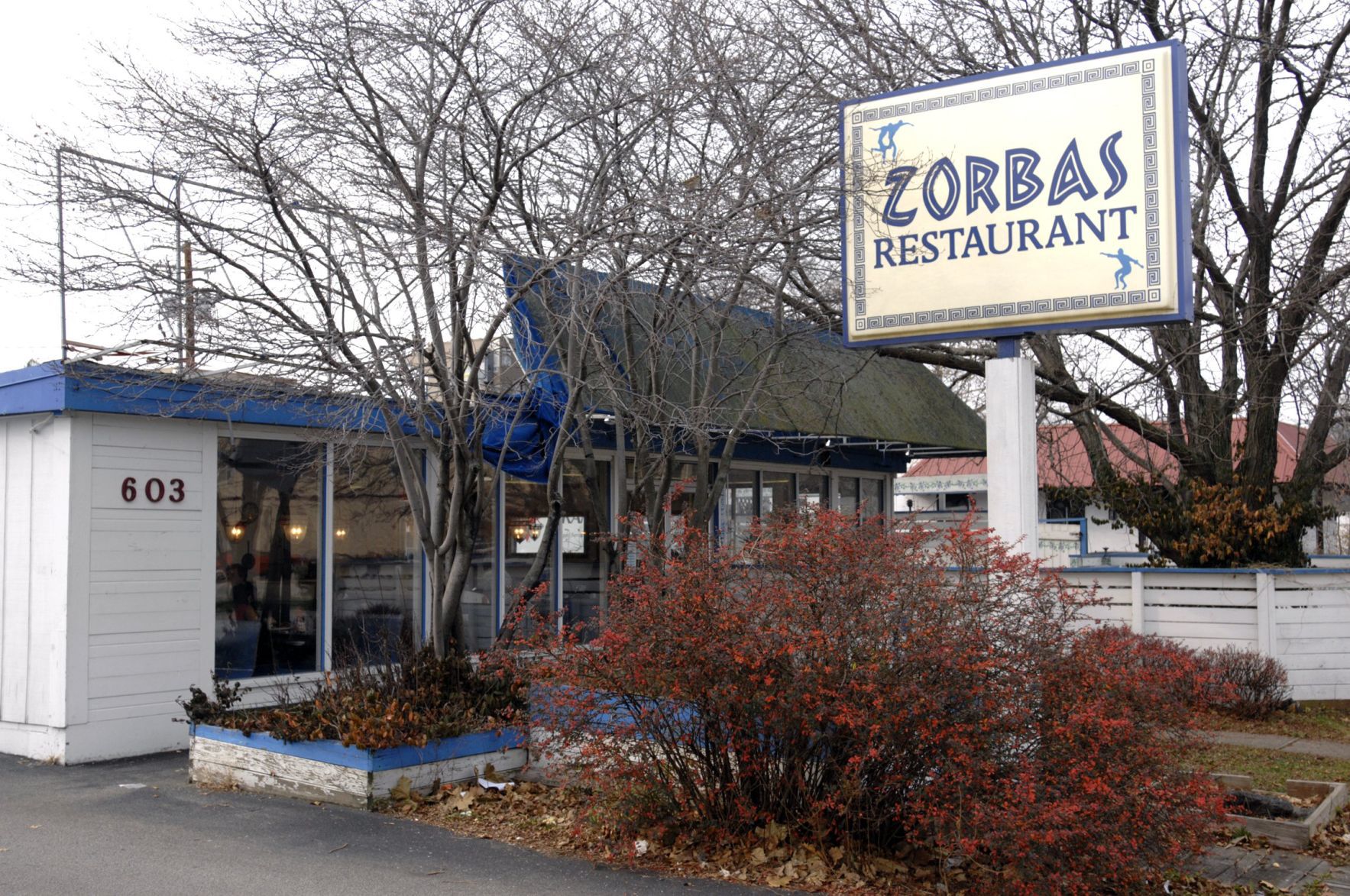 Zorba's Image